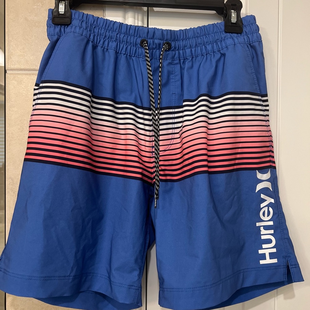 Hurley Men's Striped Blue and Red Board Shorts